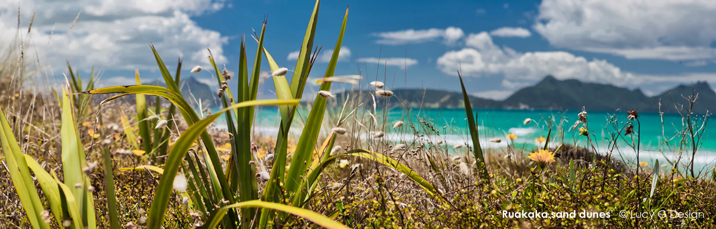 'Ruakaka Sand Dunes l'