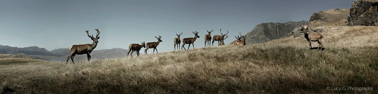 'What are you looking at ! ?'