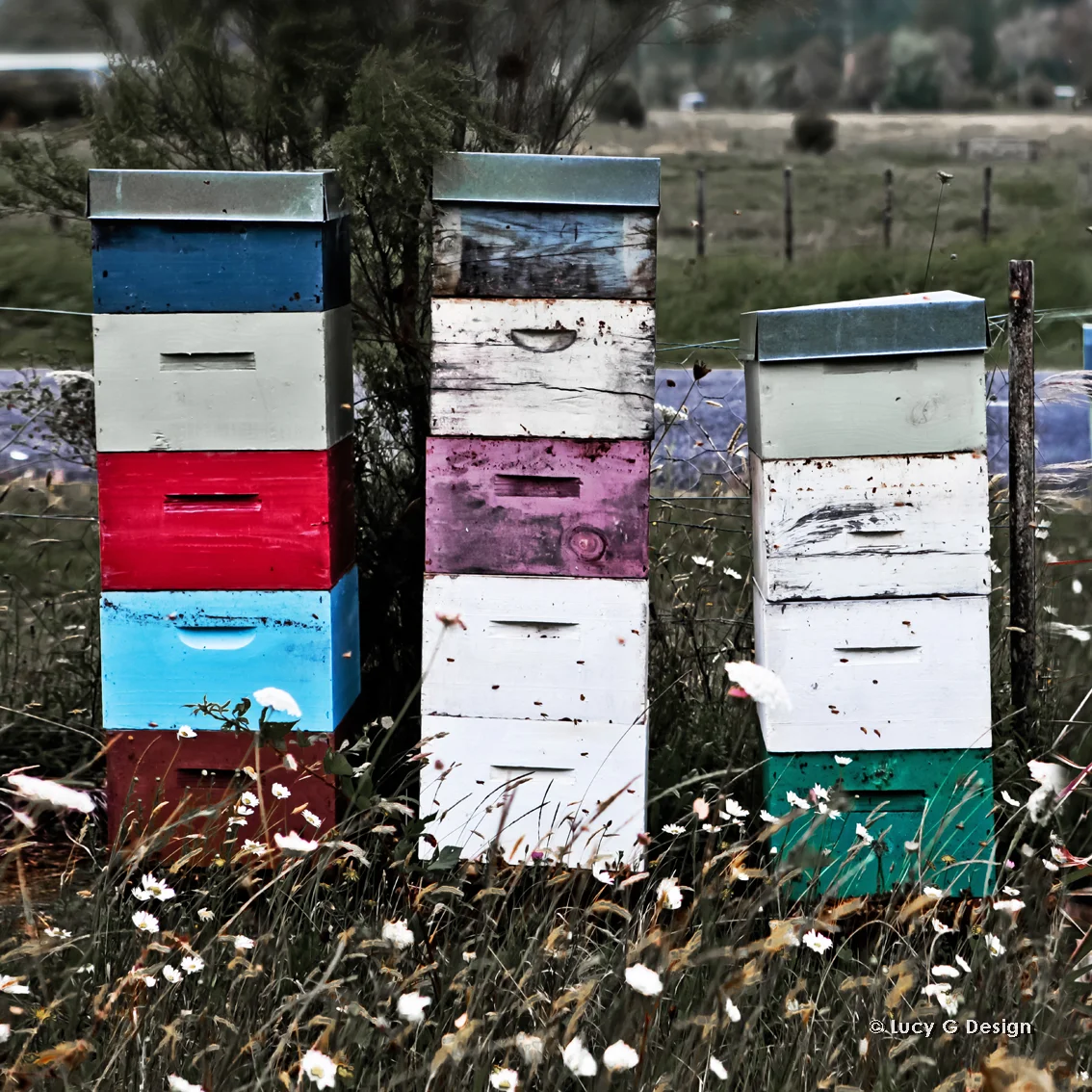 'Hives' 51x51cm glass wall art