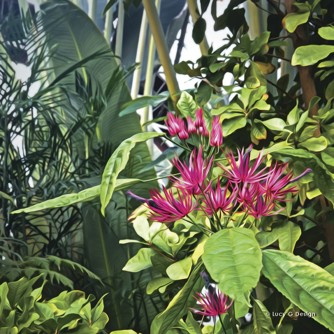 'Secret Garden' 51x51cm glass wall art