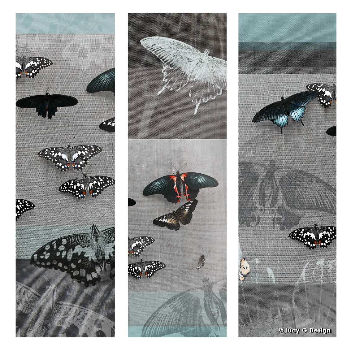 'Butterflies collage' 51x51cm glass wall art