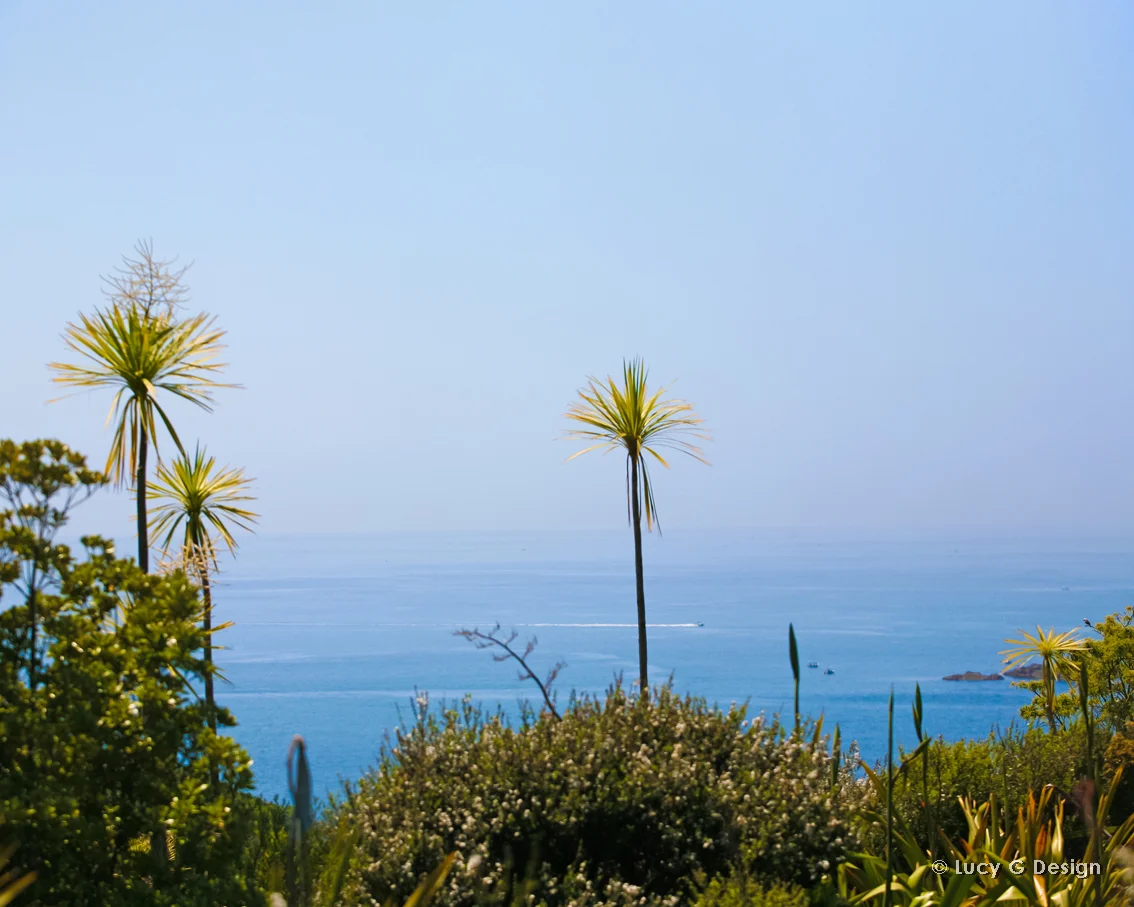 'Cabbage Tree view' 60x75cm glass wall art
