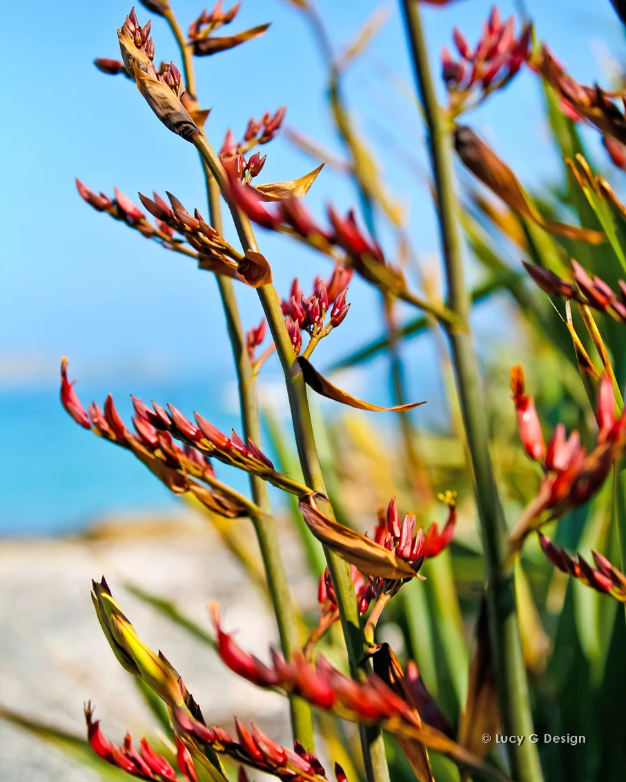 'Flax with view' colour 60x75cm glass wall art