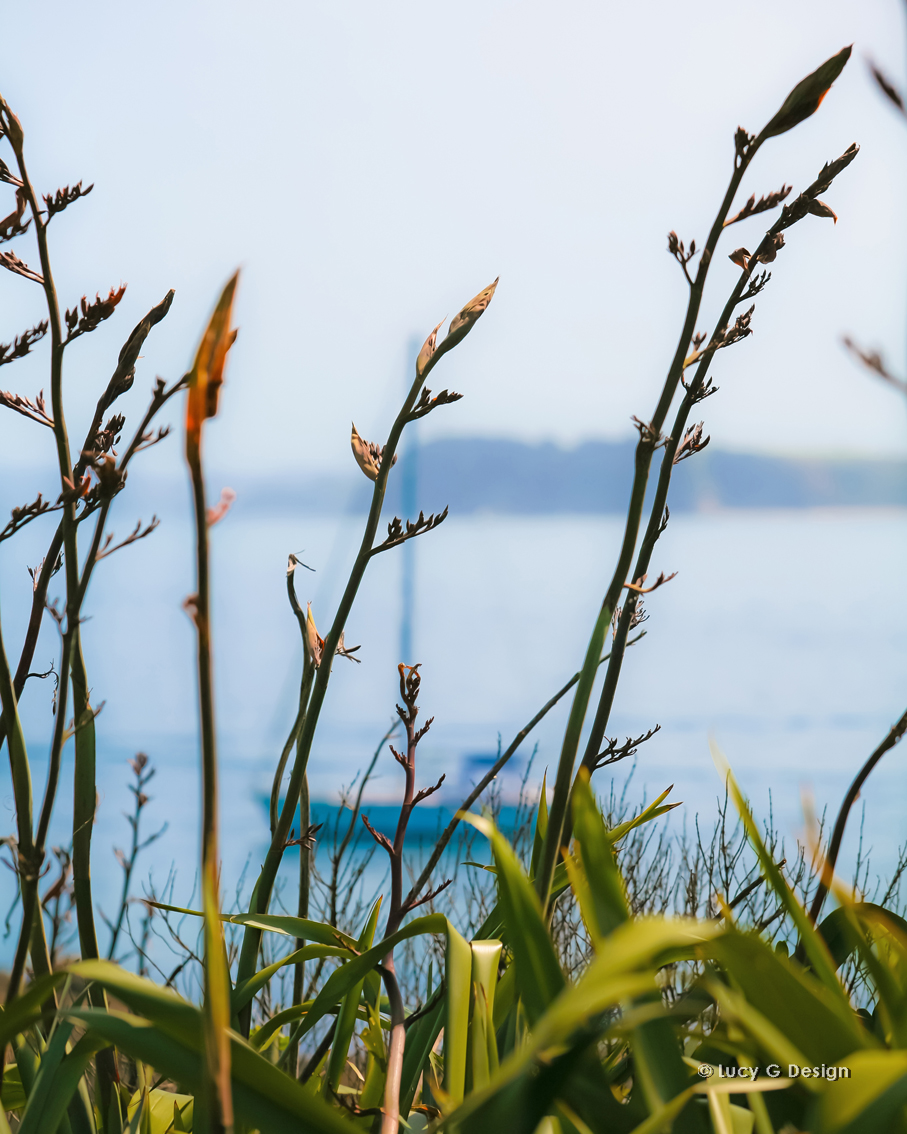 'Flax & yacht' 60x75cm glass wall art