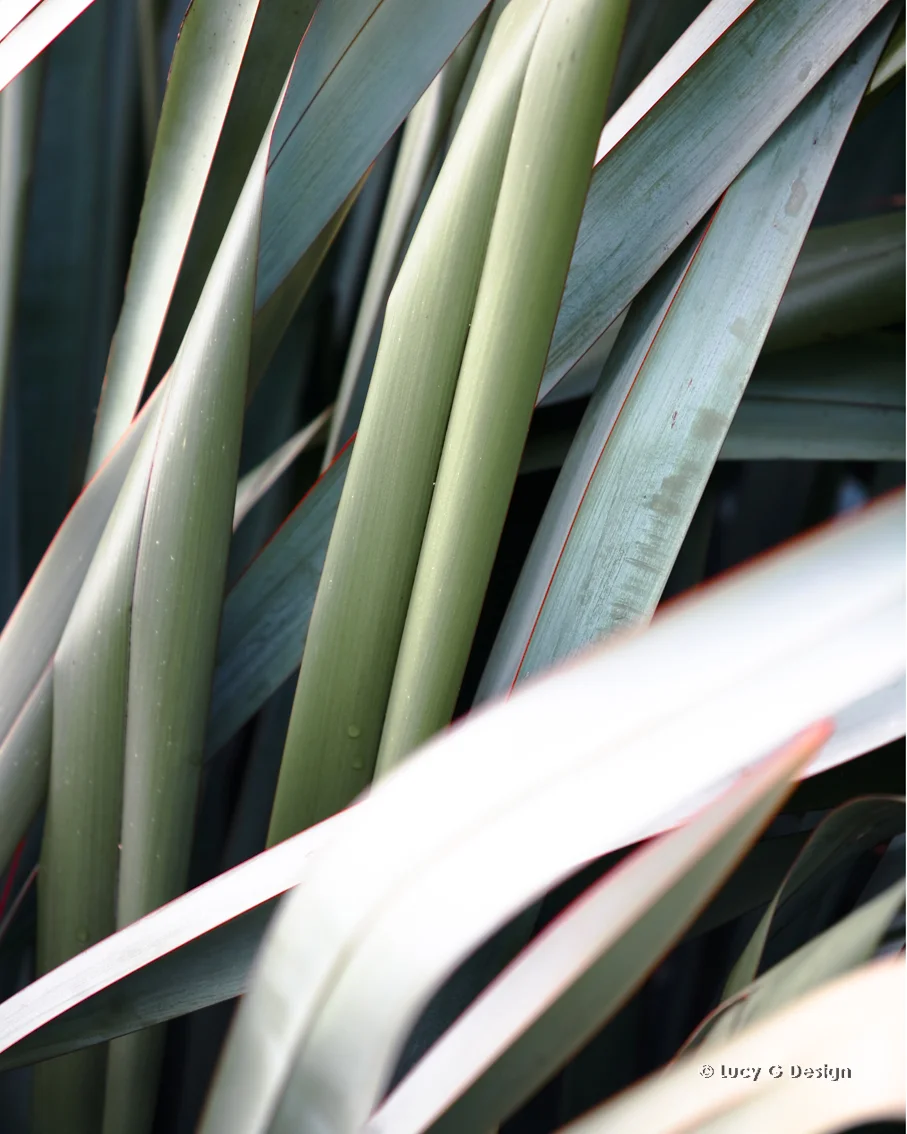 'Flax leaves A' 60x75cm glass wall art
