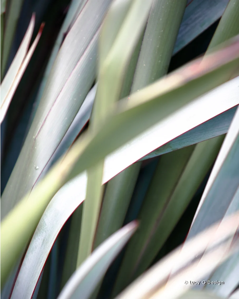 'Flax leaves B' 60x75cm glass wall art