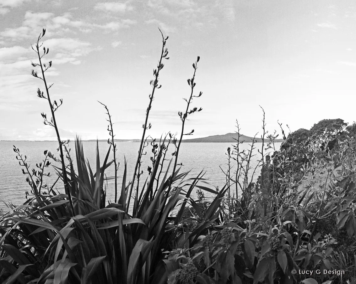 'Rangitoto' b/w 60x75cm glass wall art
