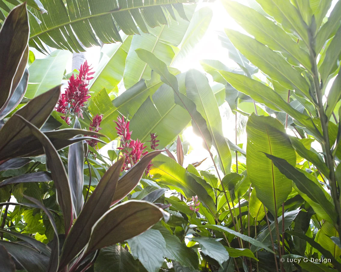 'Tropical plants' 60x75cm glass wall art