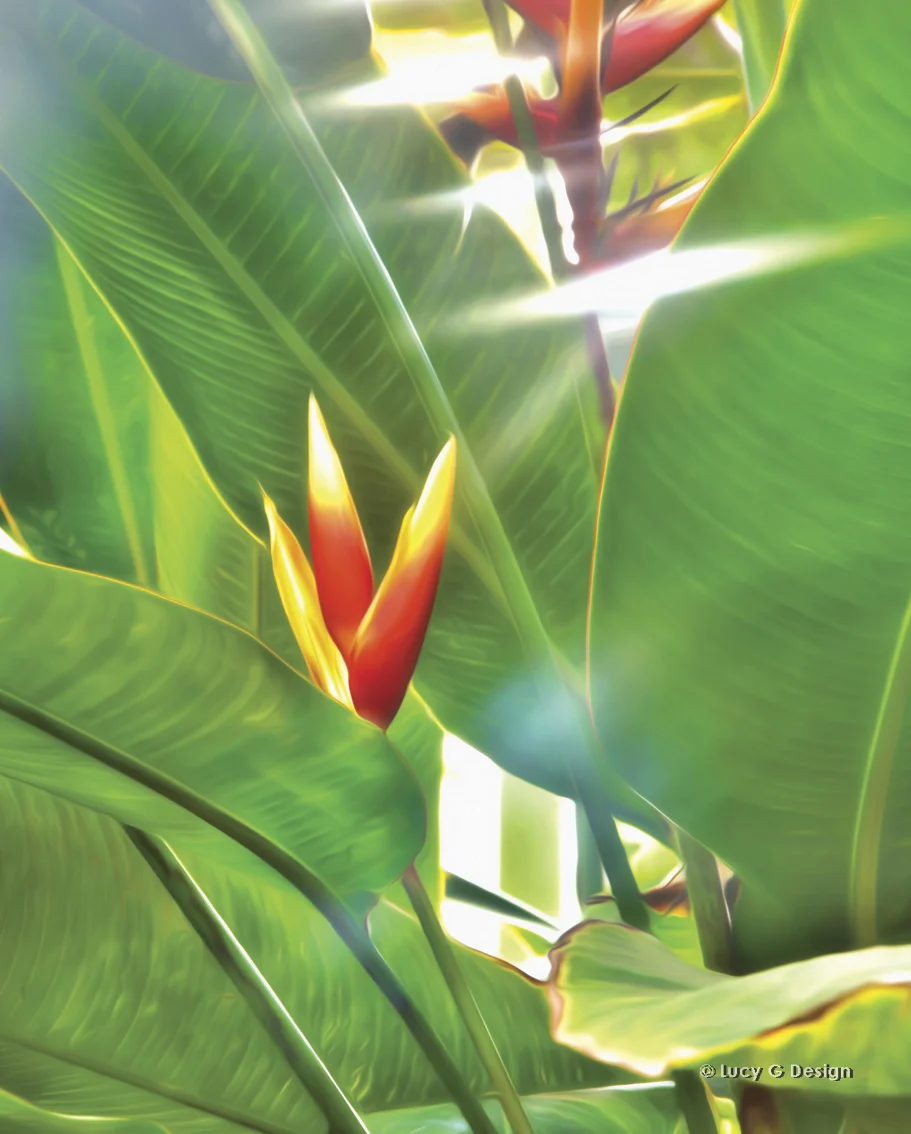 'Birds of Paradise' 60x75cm glass wall art