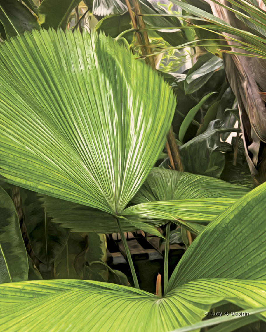 'Palm paradise' 60x75cm glass wall art