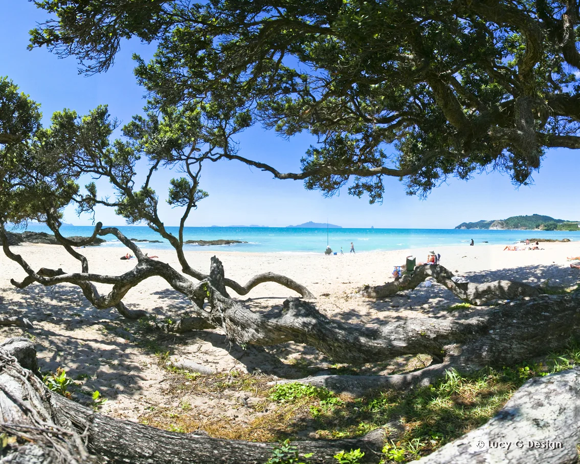 'Langs Beach' 60x75cm glass wall art