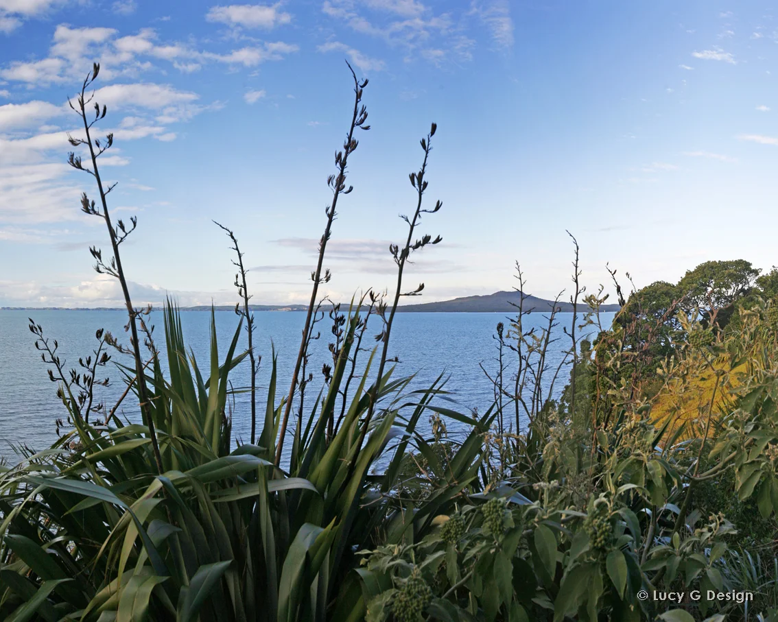 'Rangitoto' colour 60x75cm glass wall art