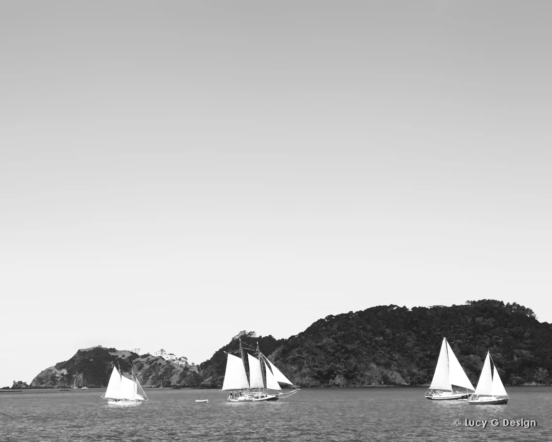 'Sailing yachts' b/w 60x75cm glass wall art
