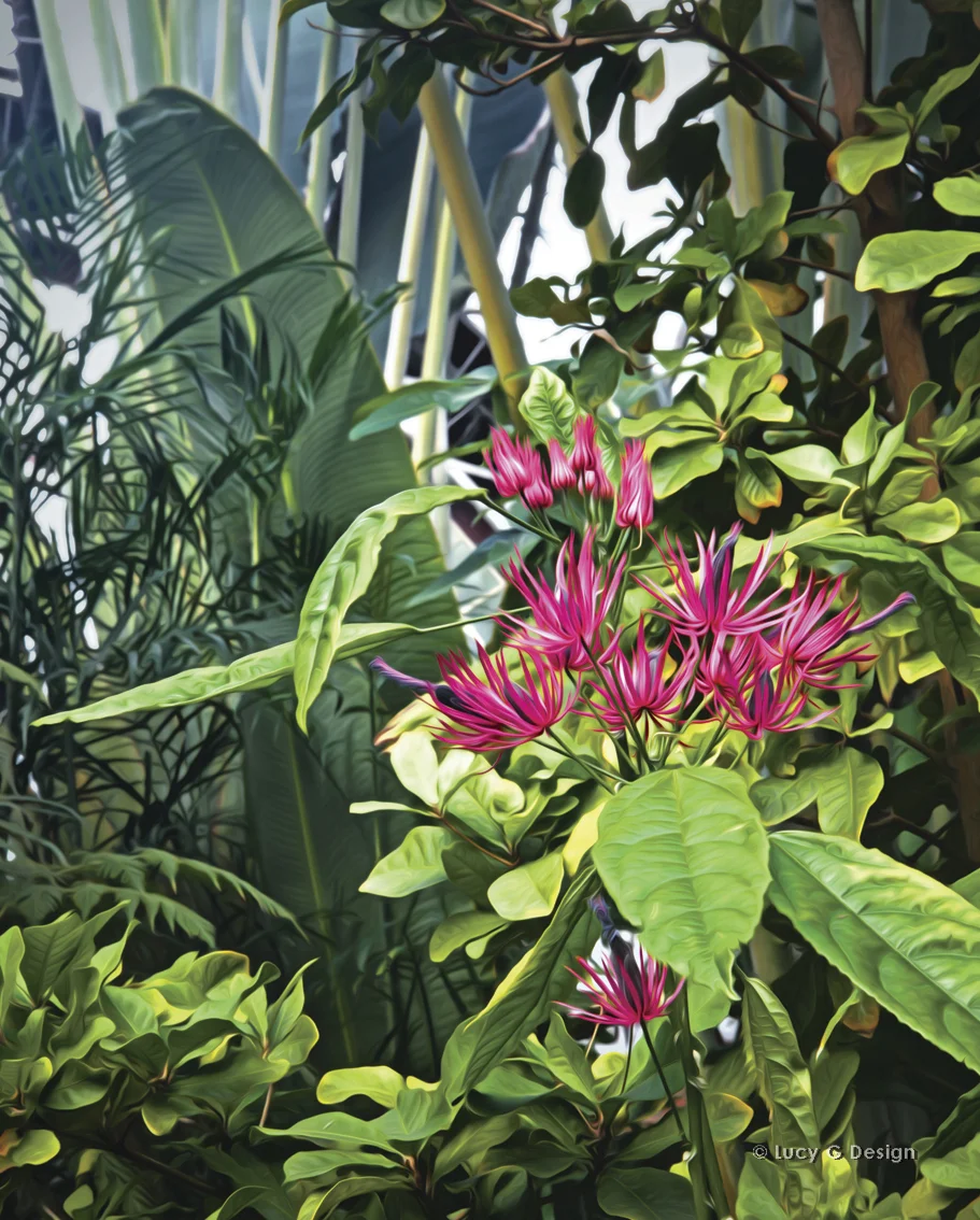 'Secret Garden' 60x75cm glass wall art