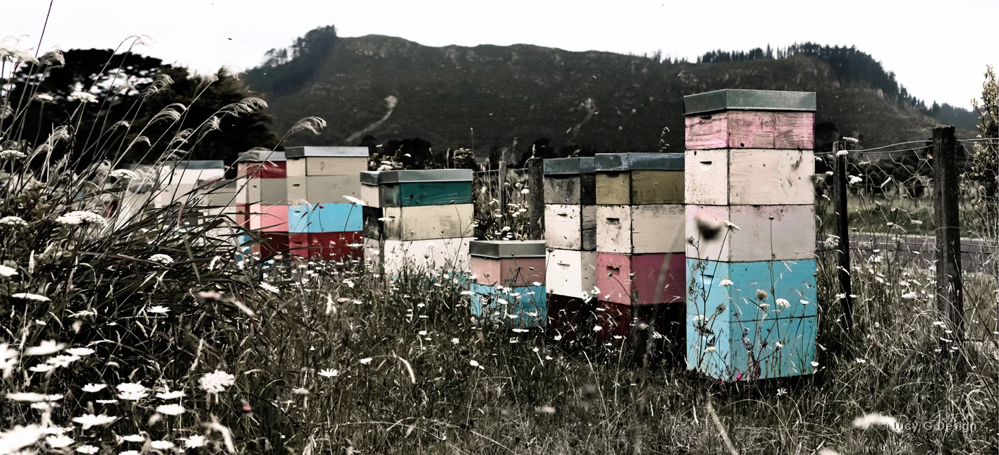 'Hives 1' 51x102cm glass wall art