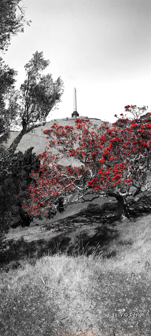 'One Tree Hill' b/w with red 51x102cm glass wall art