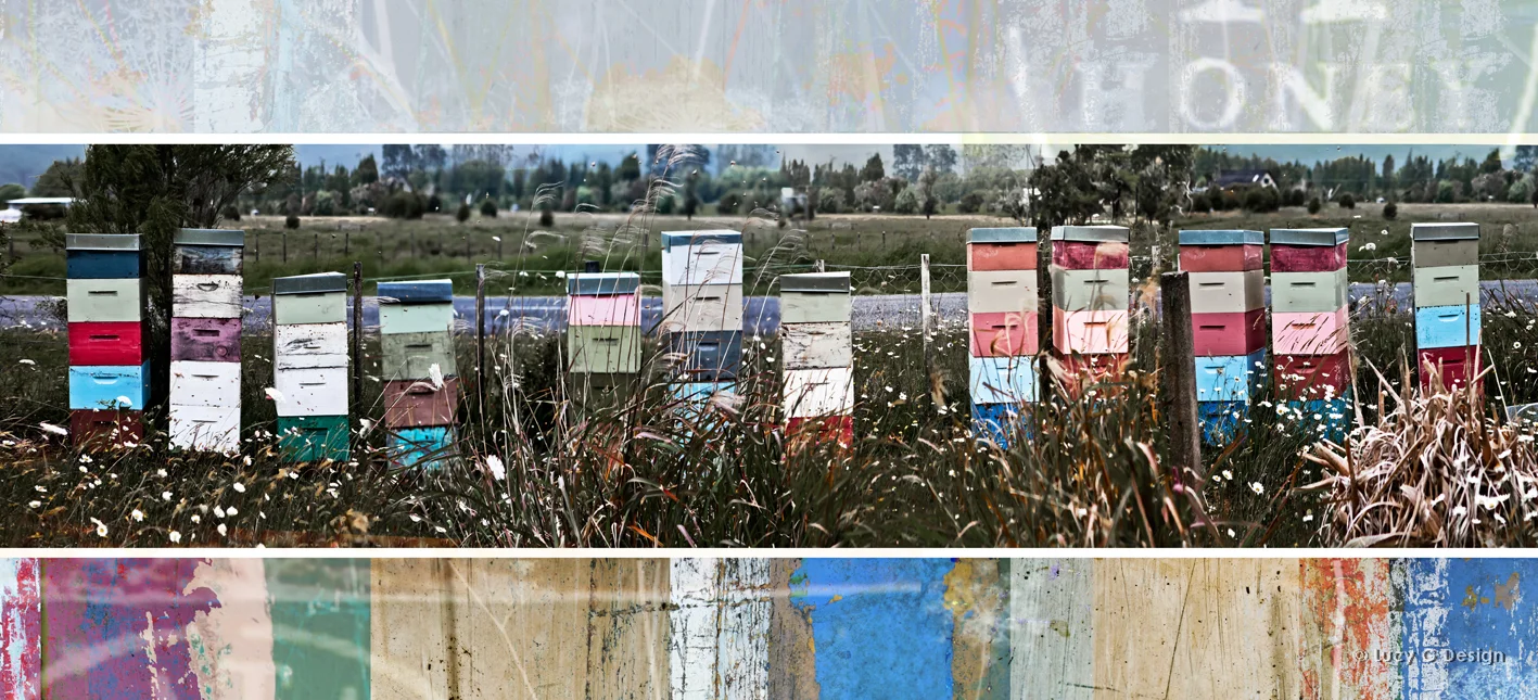 'Hives collage' 51x102cm glass wall art