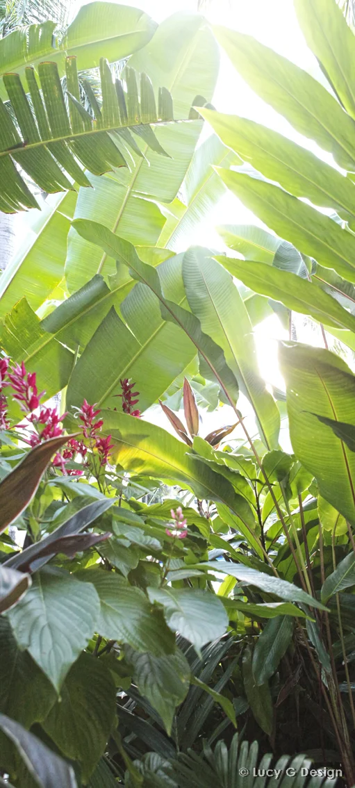 'Tropical plants' 51x102cm glass wall art