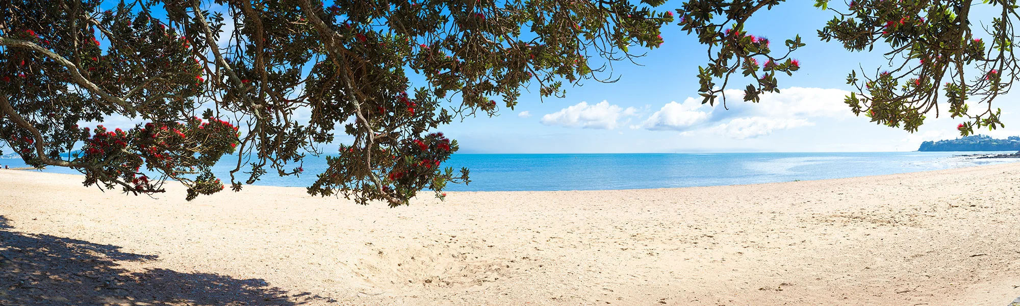 (KOHI 2015-1) Summer beach view