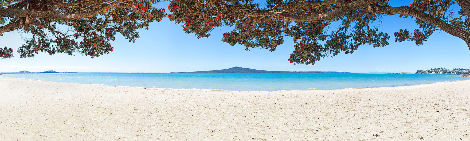 KOHI 2015-5 Kohi Paradise ll (no seawall)
