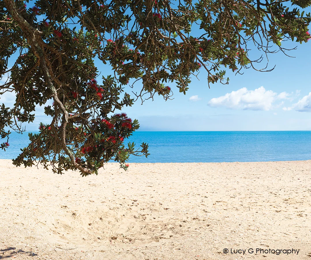 Summer Beach View full colour 900x750mm