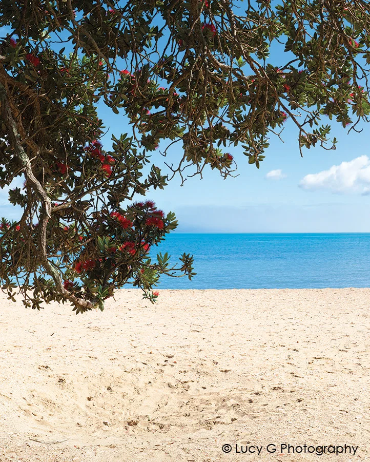 Summer Beach View full colour 600x750mm
