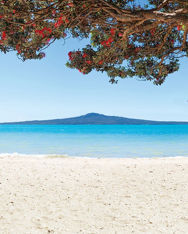 Kohi Paradise 2 full colour 600x750mm