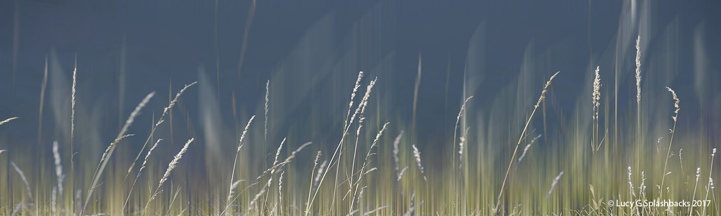 COLBLUR-5 Summer Haze
