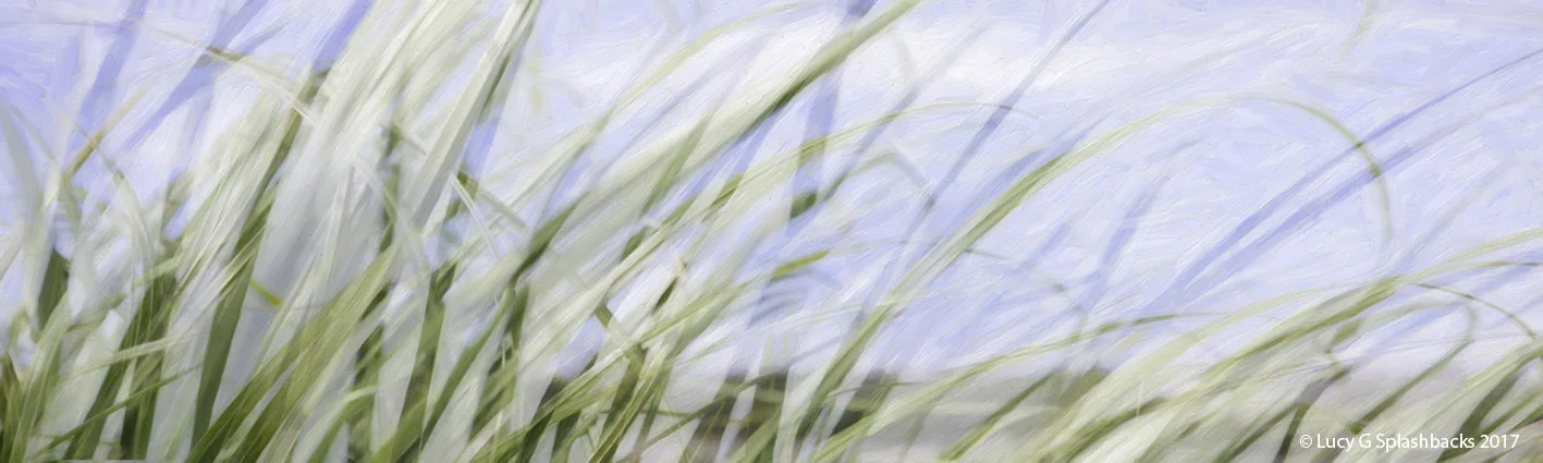 'PAINTED SAND DUNES' (colour digital painting) printed image splashback