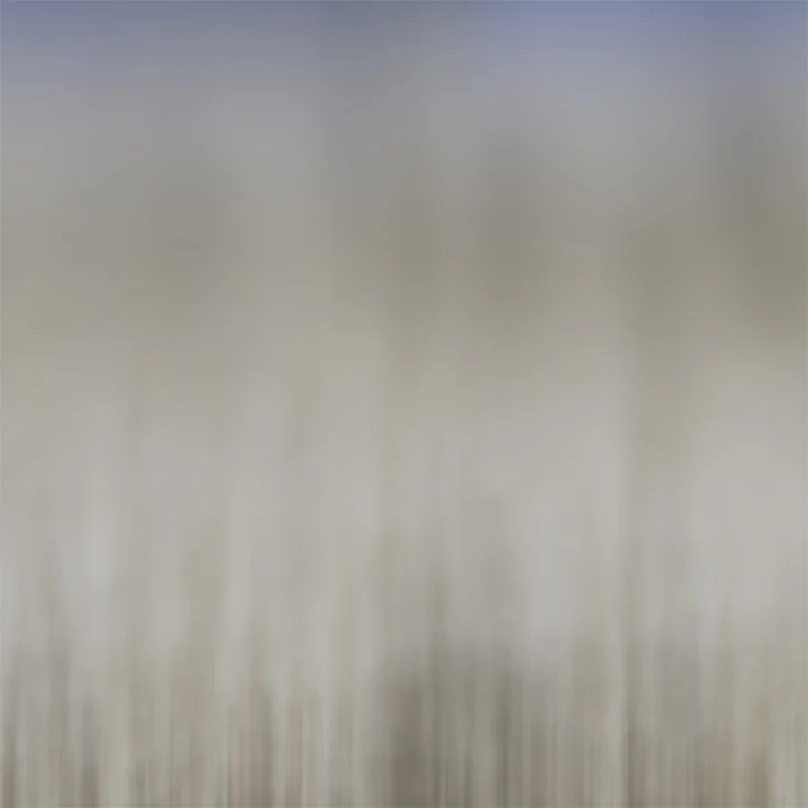 'SHELLS B' printed image on glass splashback - detail