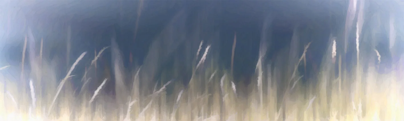 COLBLUR-5 Summer Haze C (digital watercolour painting)