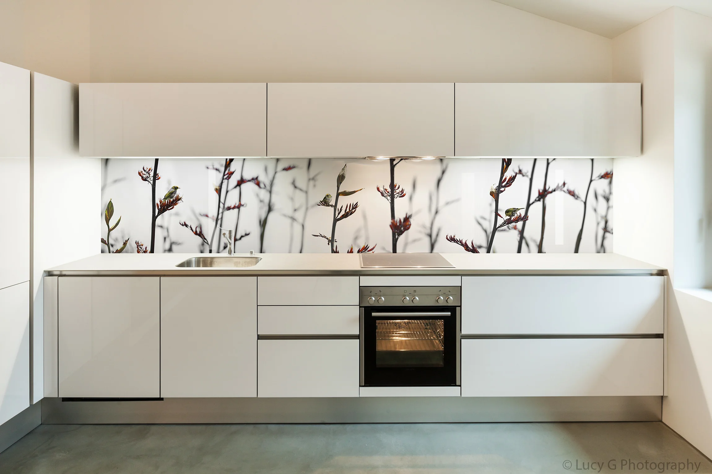 Printed image on glass kitchen splashback &nbsp;- Perth, &nbsp;Australia - 'Silvereye on Flax'