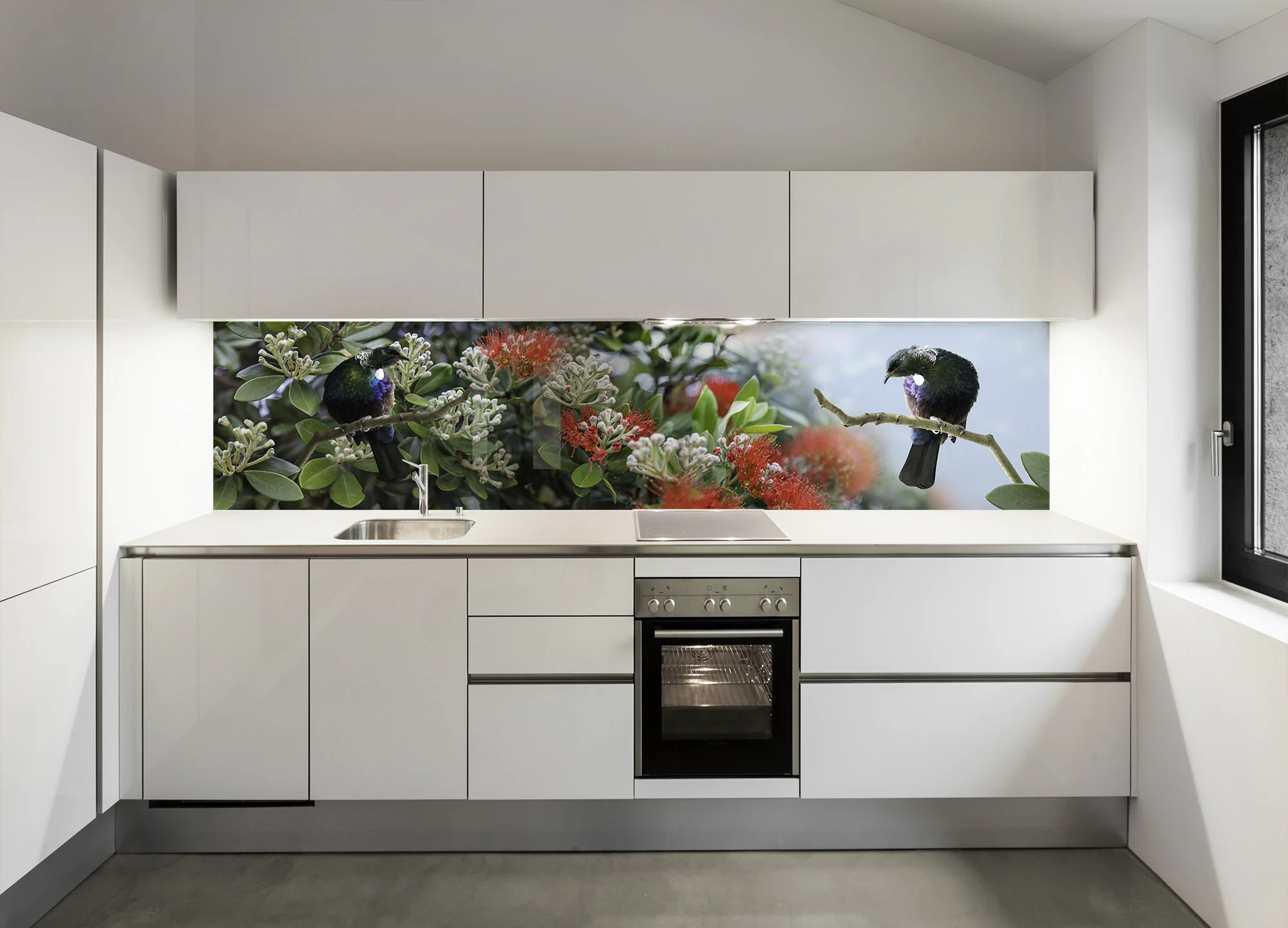 Tui in Pohutukawa printed image splashback