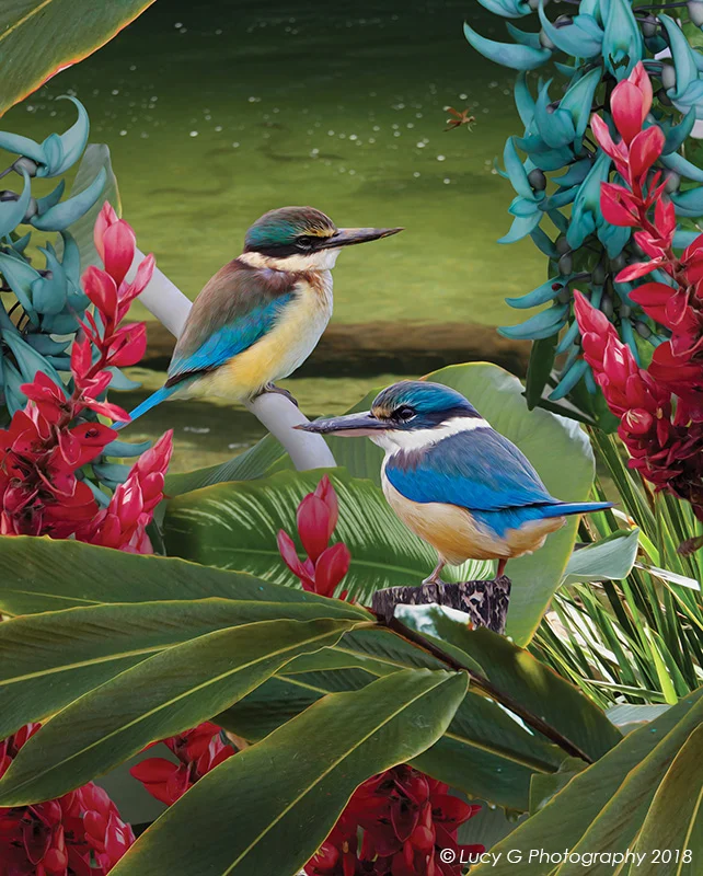 Soulmates (Kingfishers) 600x750mm