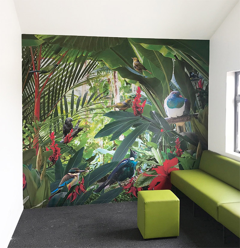 Wall Murals Printed Images On Glass Kitchen Splashbacks And Art By Lucy G - Custom Wall Murals Nz