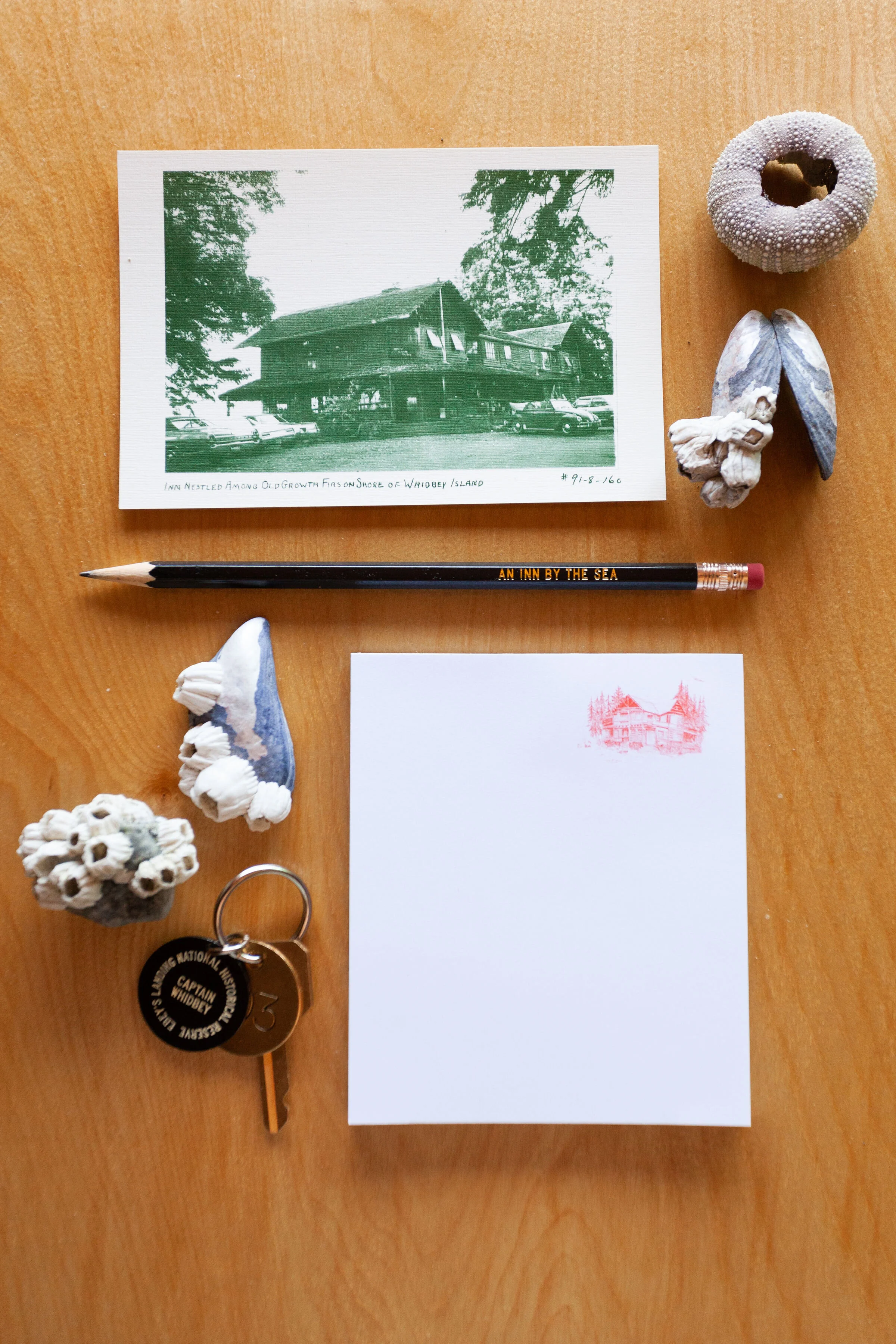 CW-Ellie Lilstrom - OSE.jpg