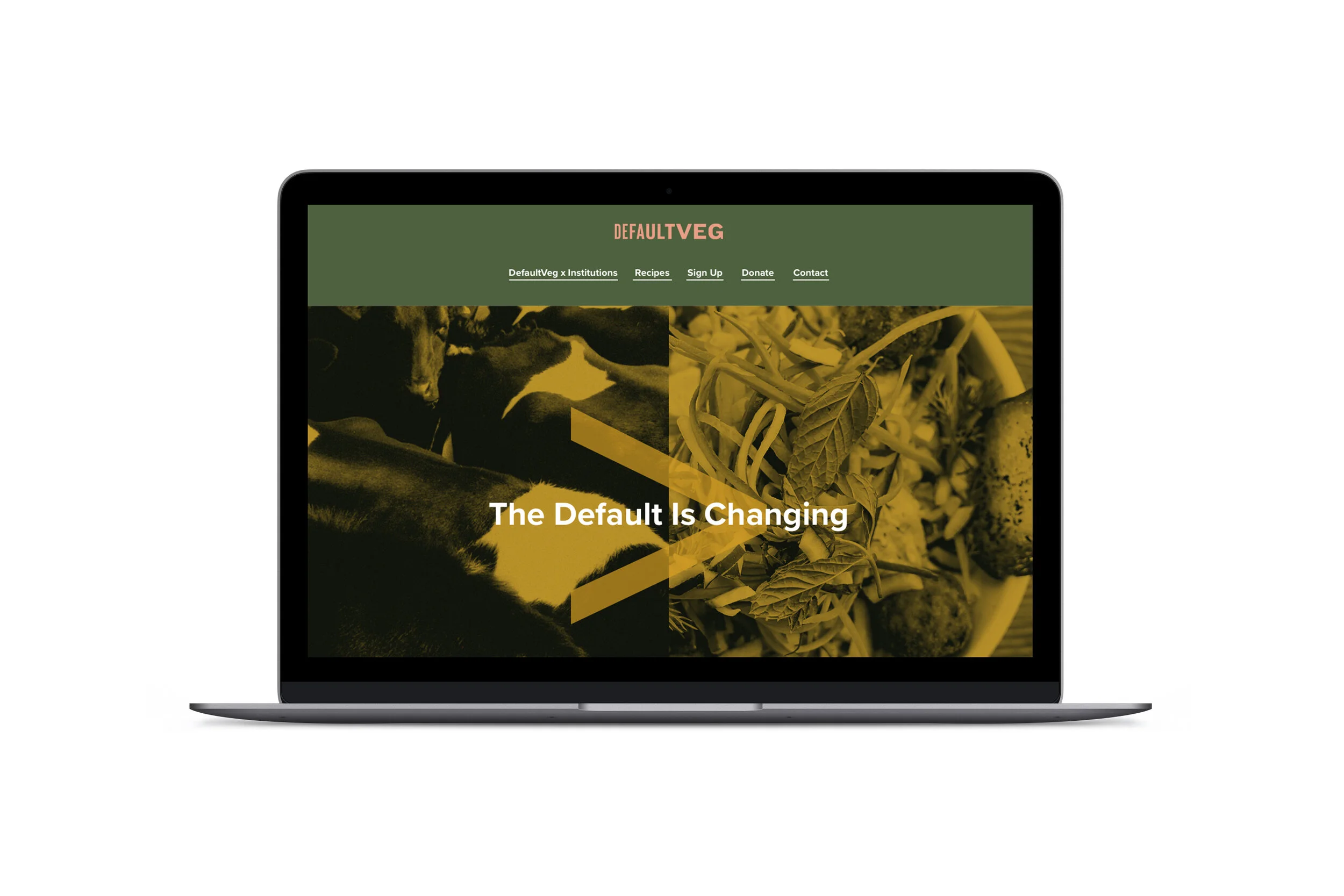 dv_web_mockup copy.jpg