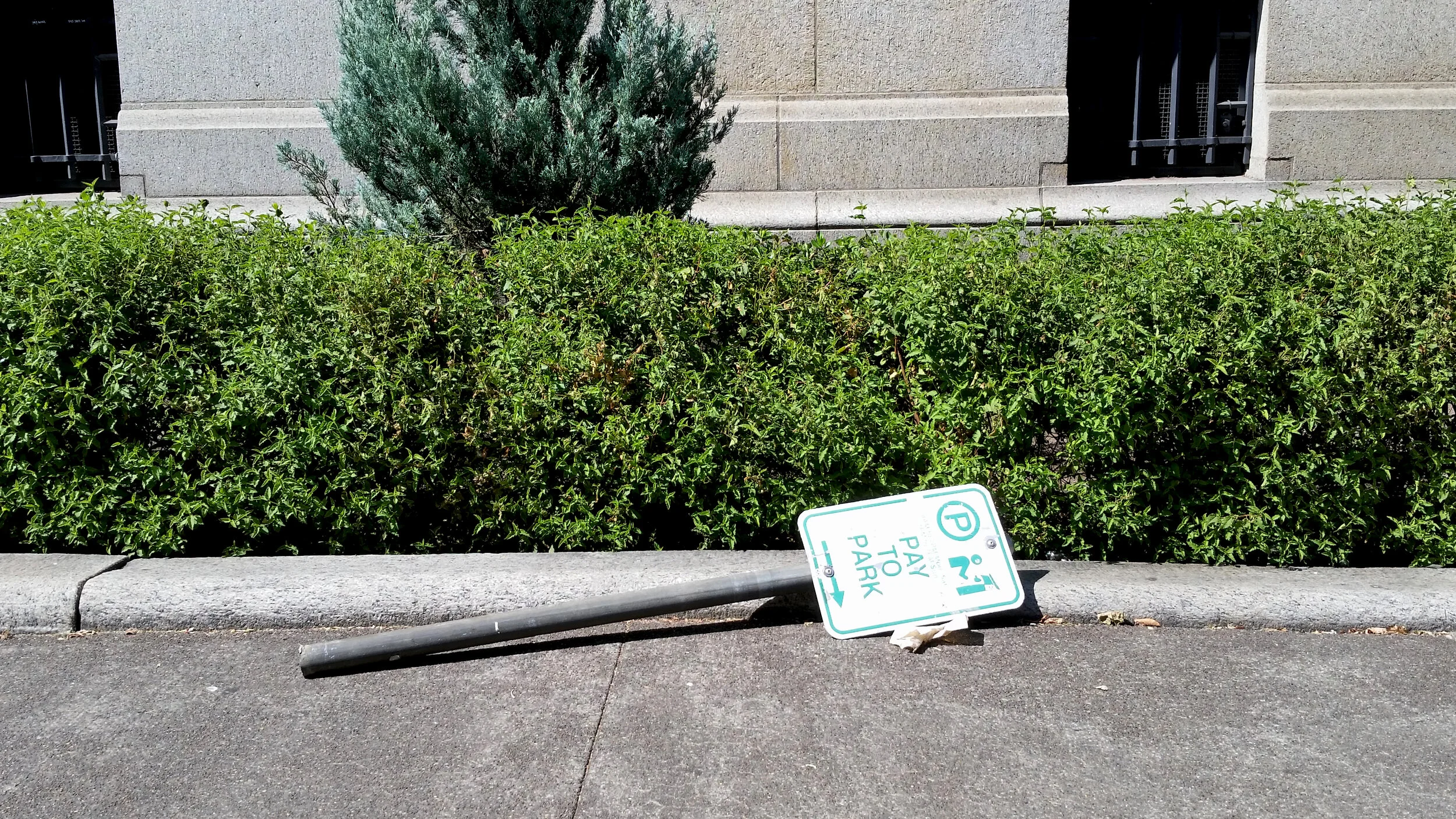 20150707_154947 copy.jpg