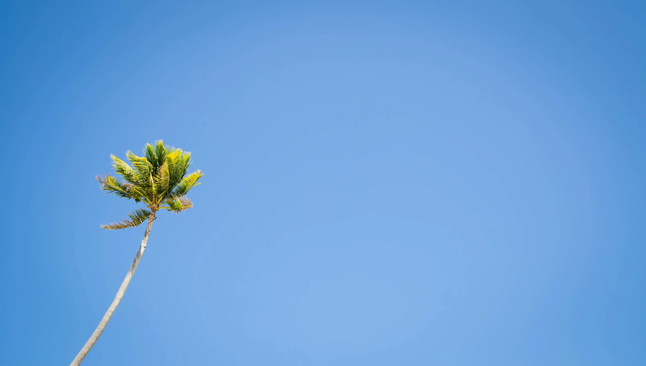 Fiji-28.jpg