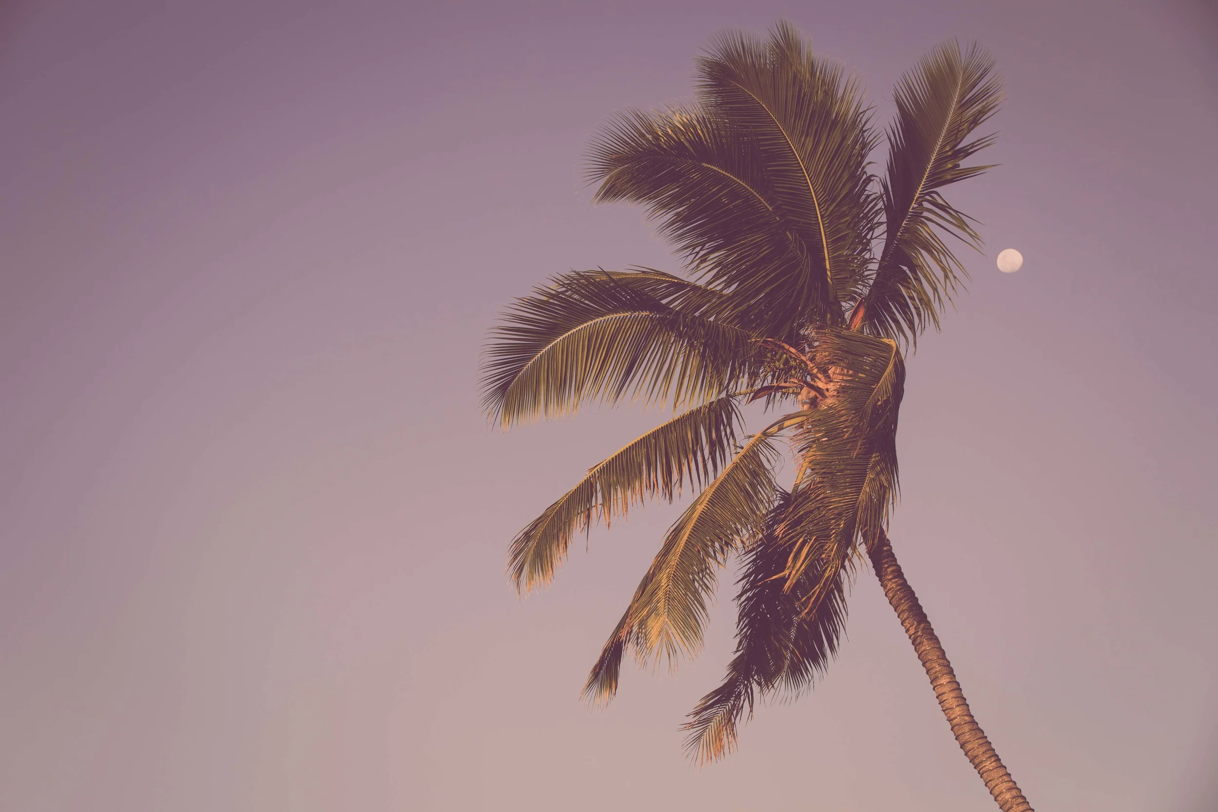 Fiji-33.jpg