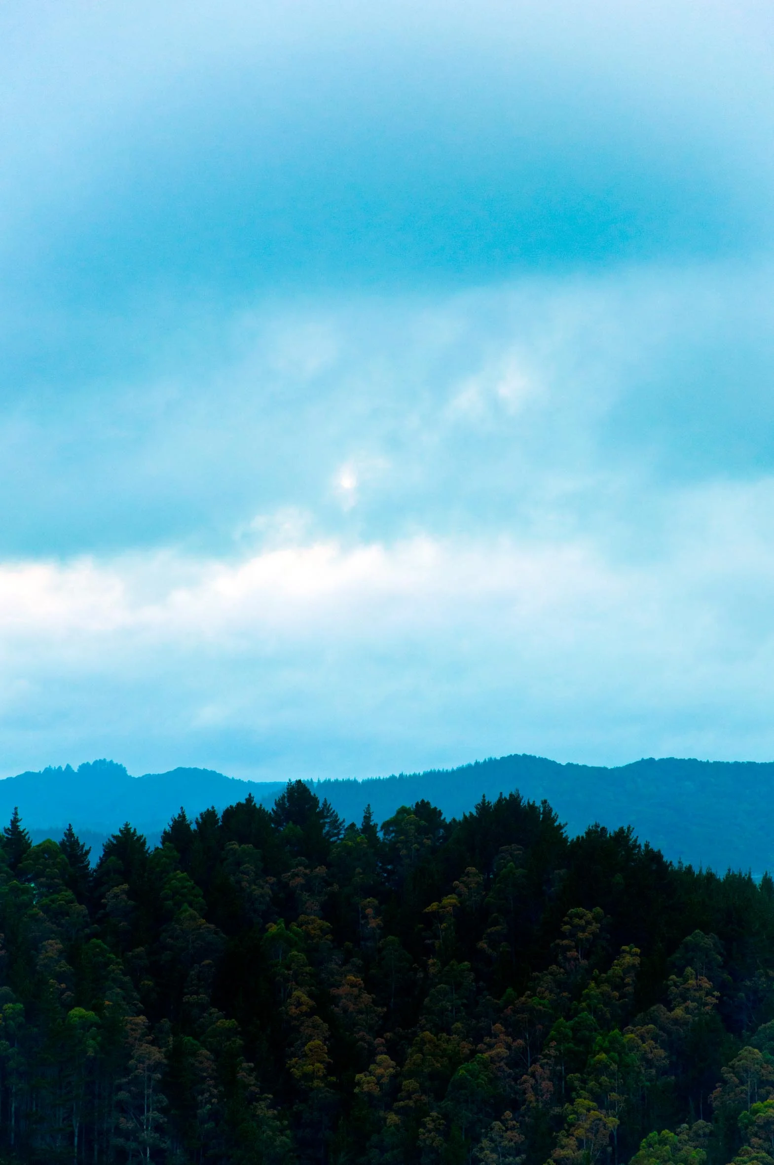 _DSC0125-2.jpg