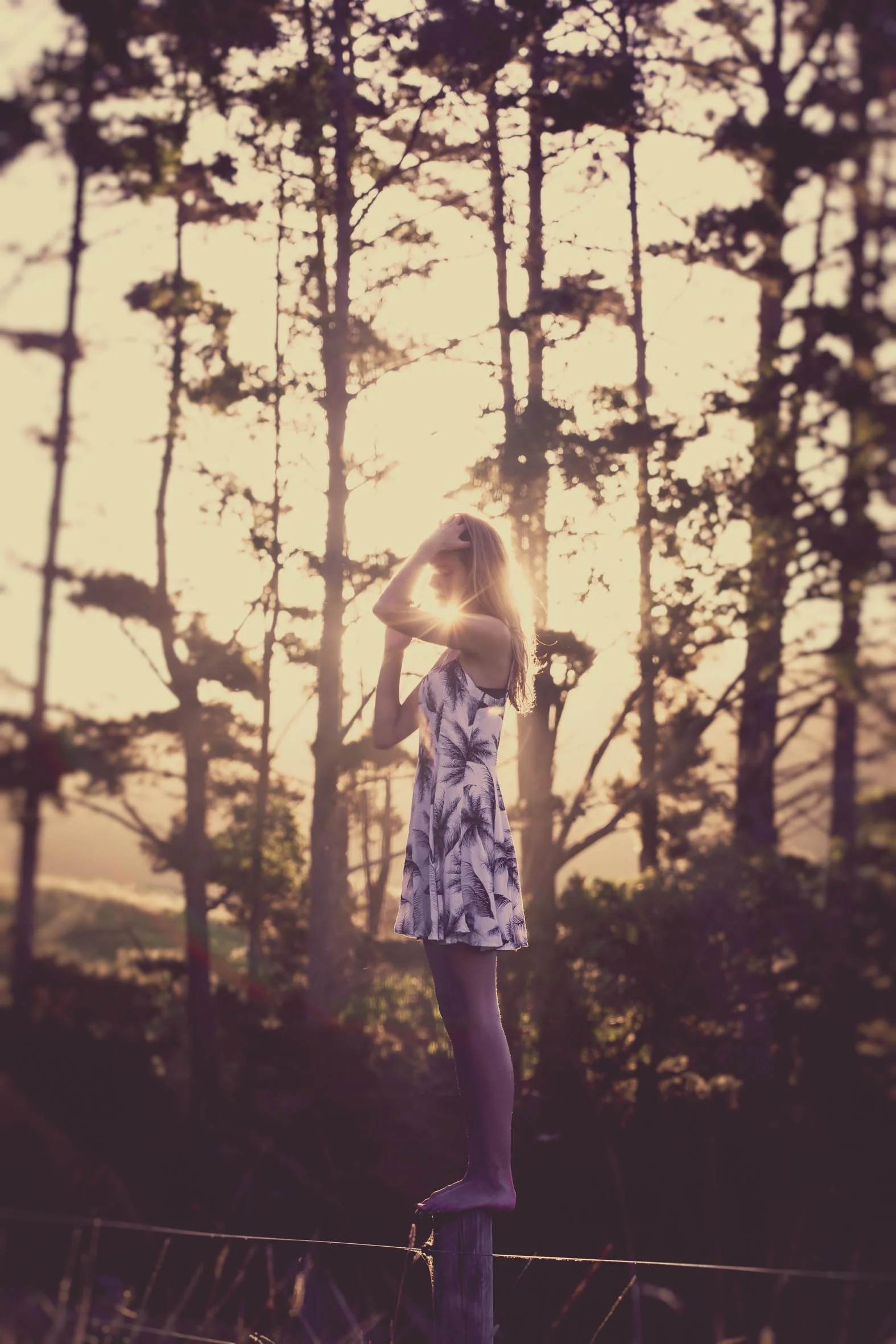 Renee-10.jpg