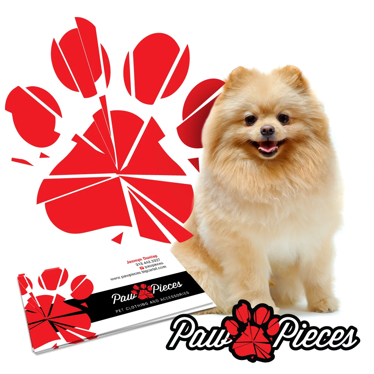 paw pieces.jpg