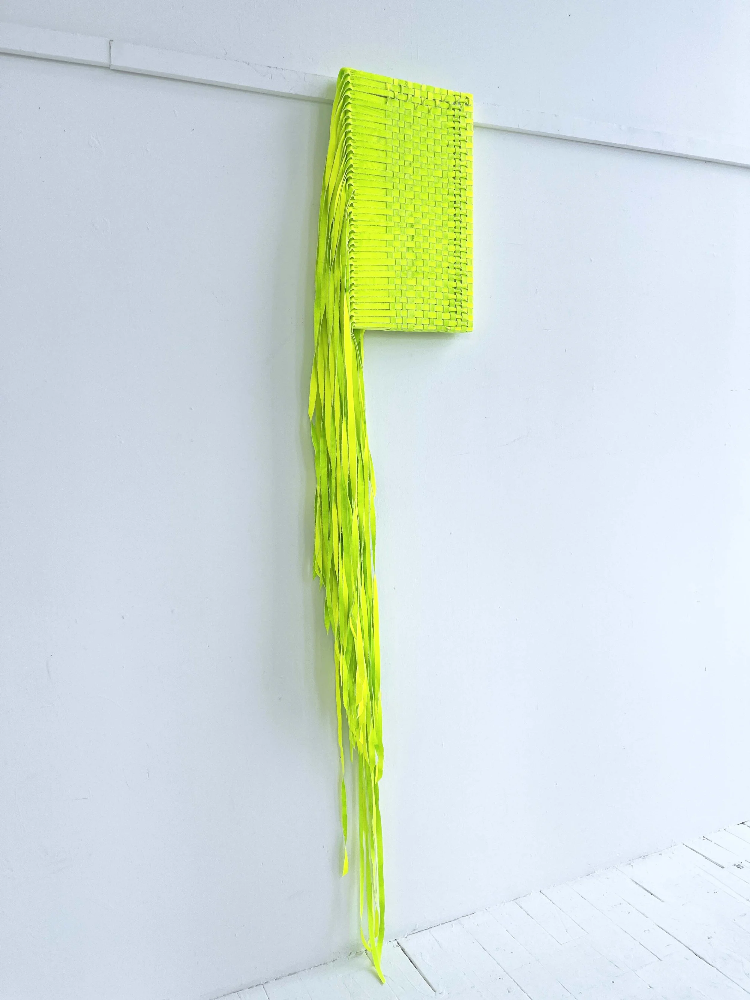 Centipede_detail 1.JPG