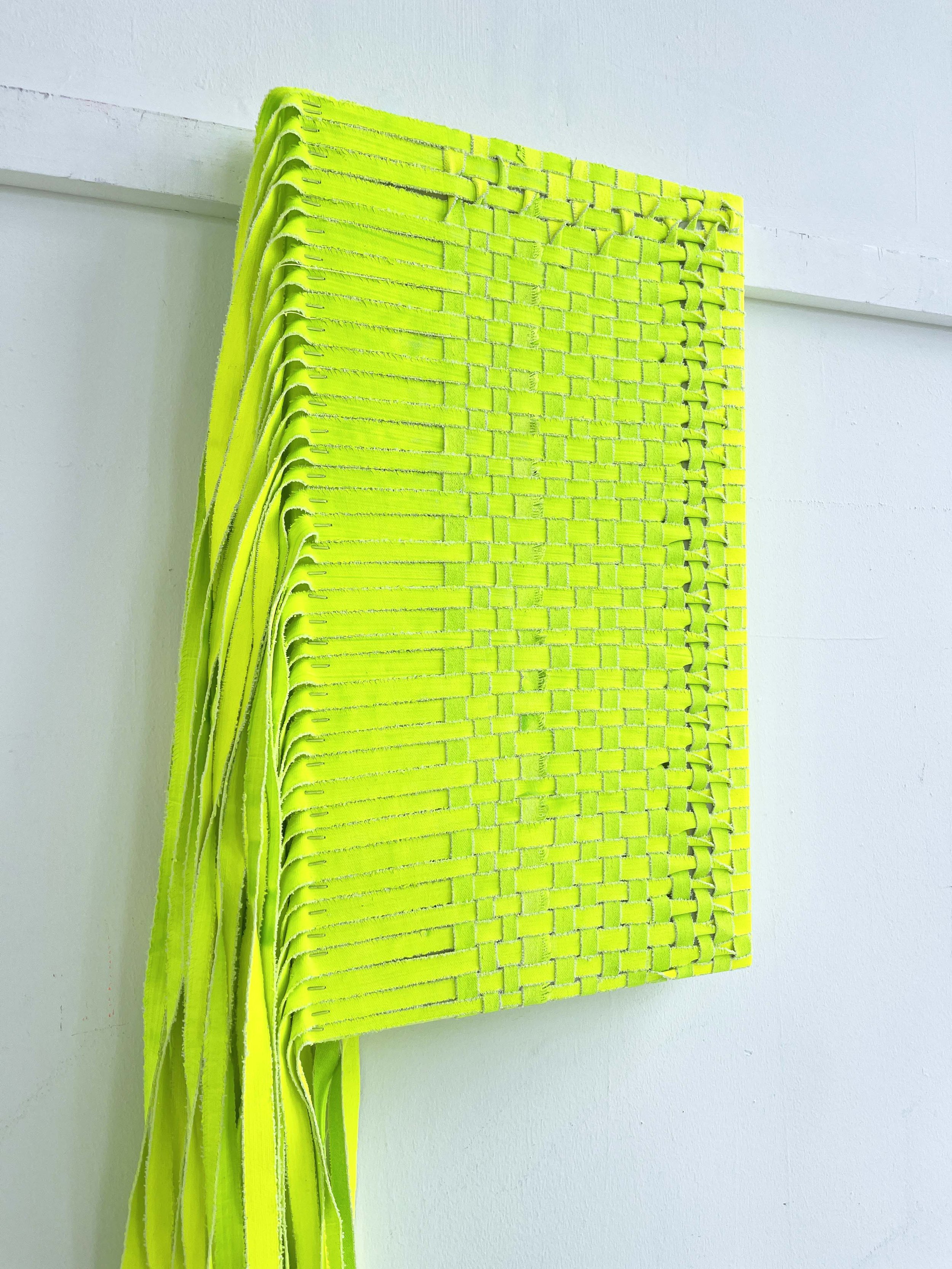 Centipede_detail 2.JPG