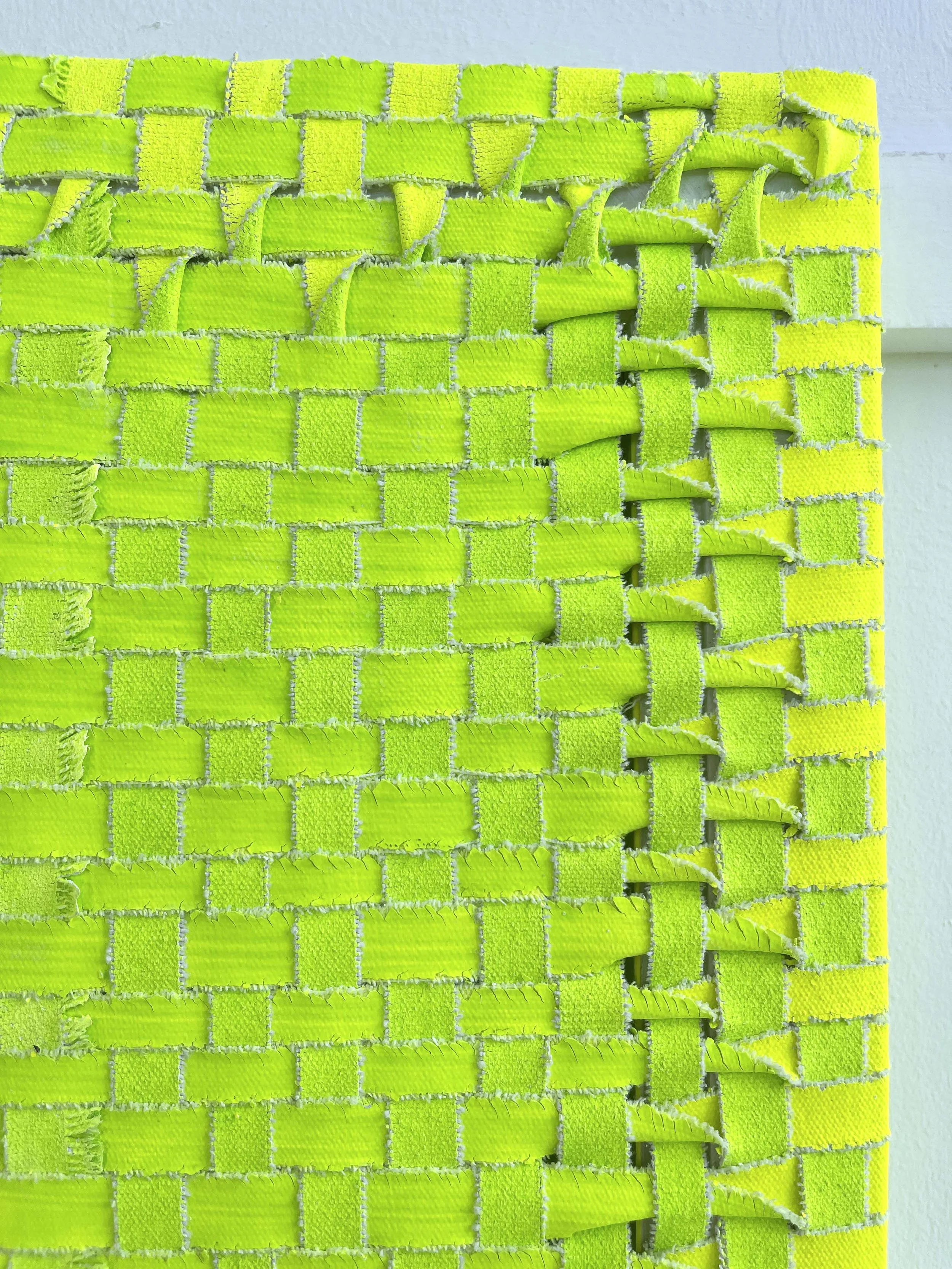 Centipede_detail 3.JPG