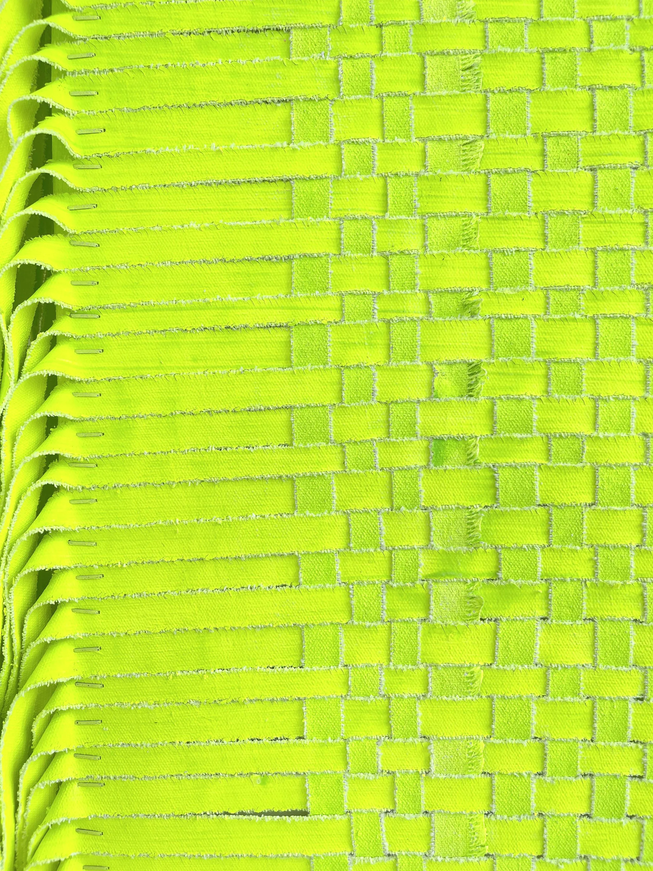 Centipede_detail 4.JPG