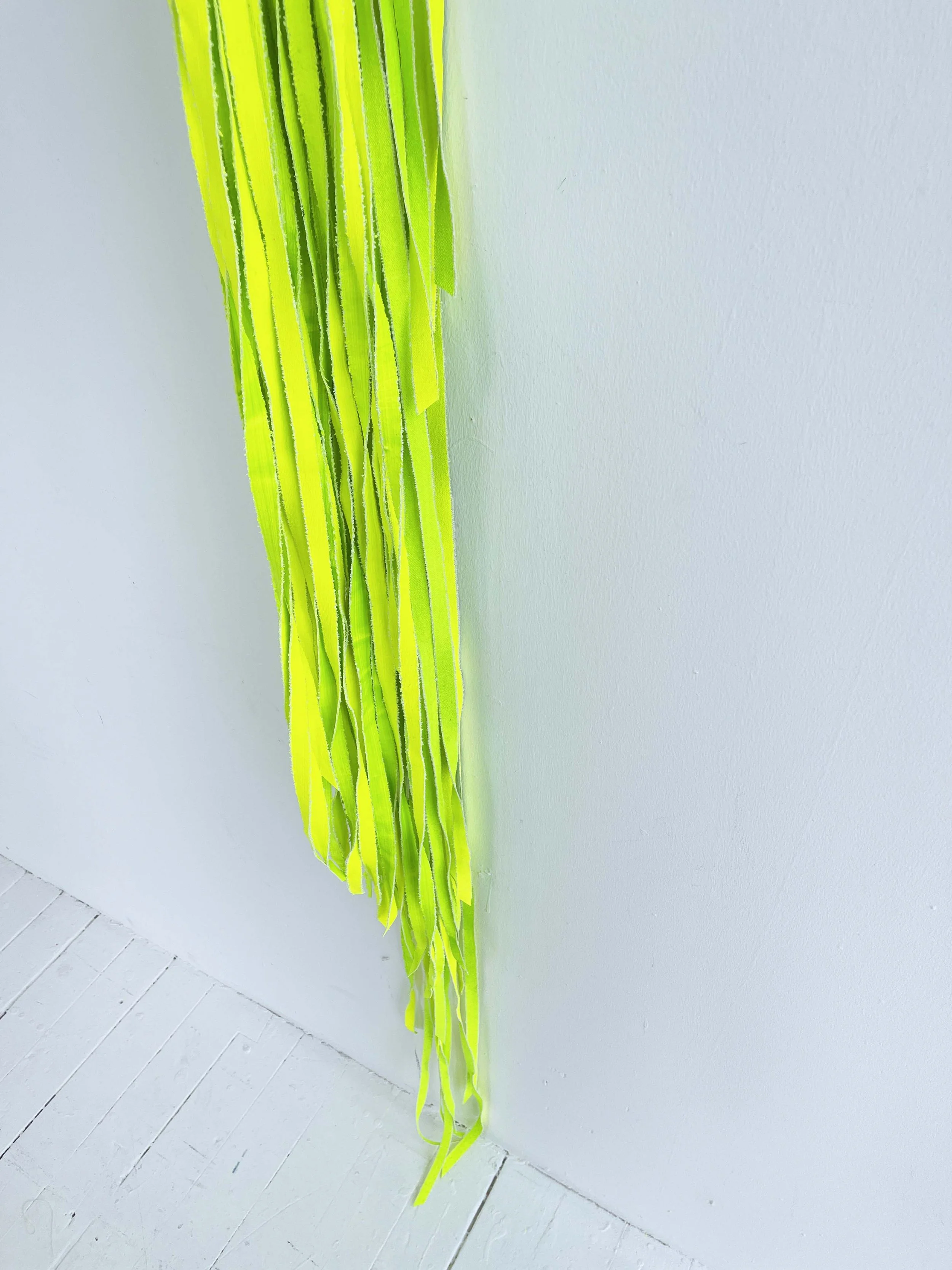 Centipede_detail 5.JPG