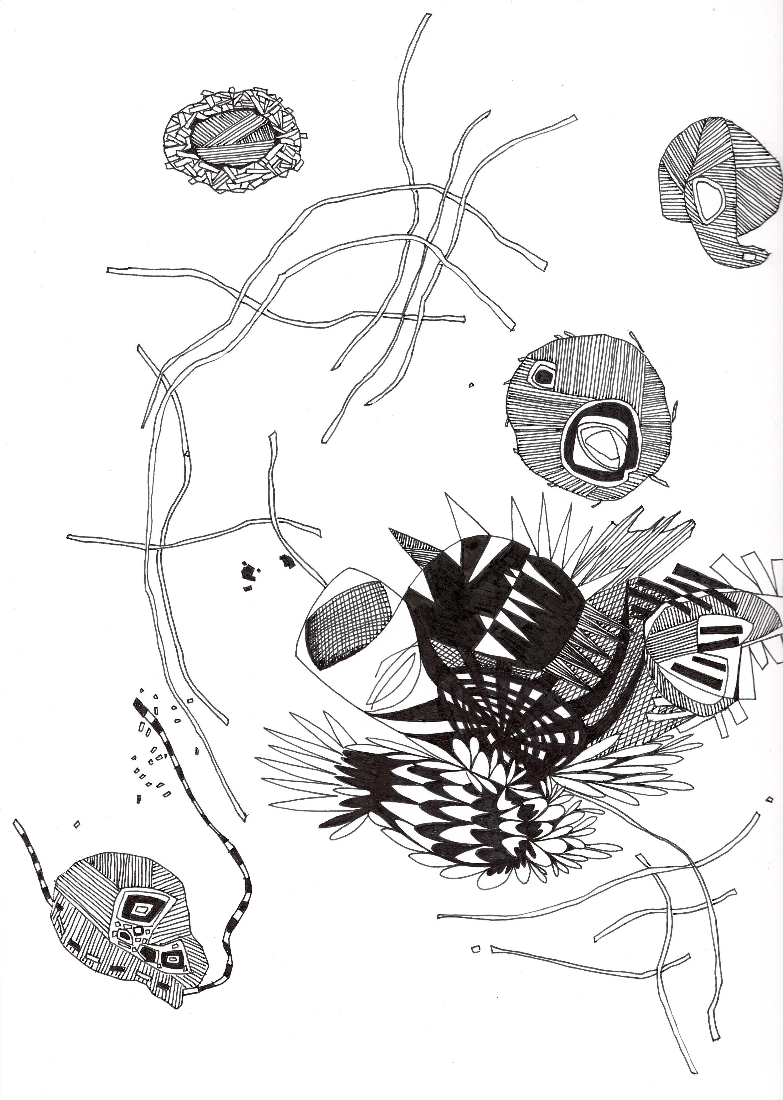 Creepy Crawlies_ink on paper_9x12_2025_Linda Colletta.jpeg