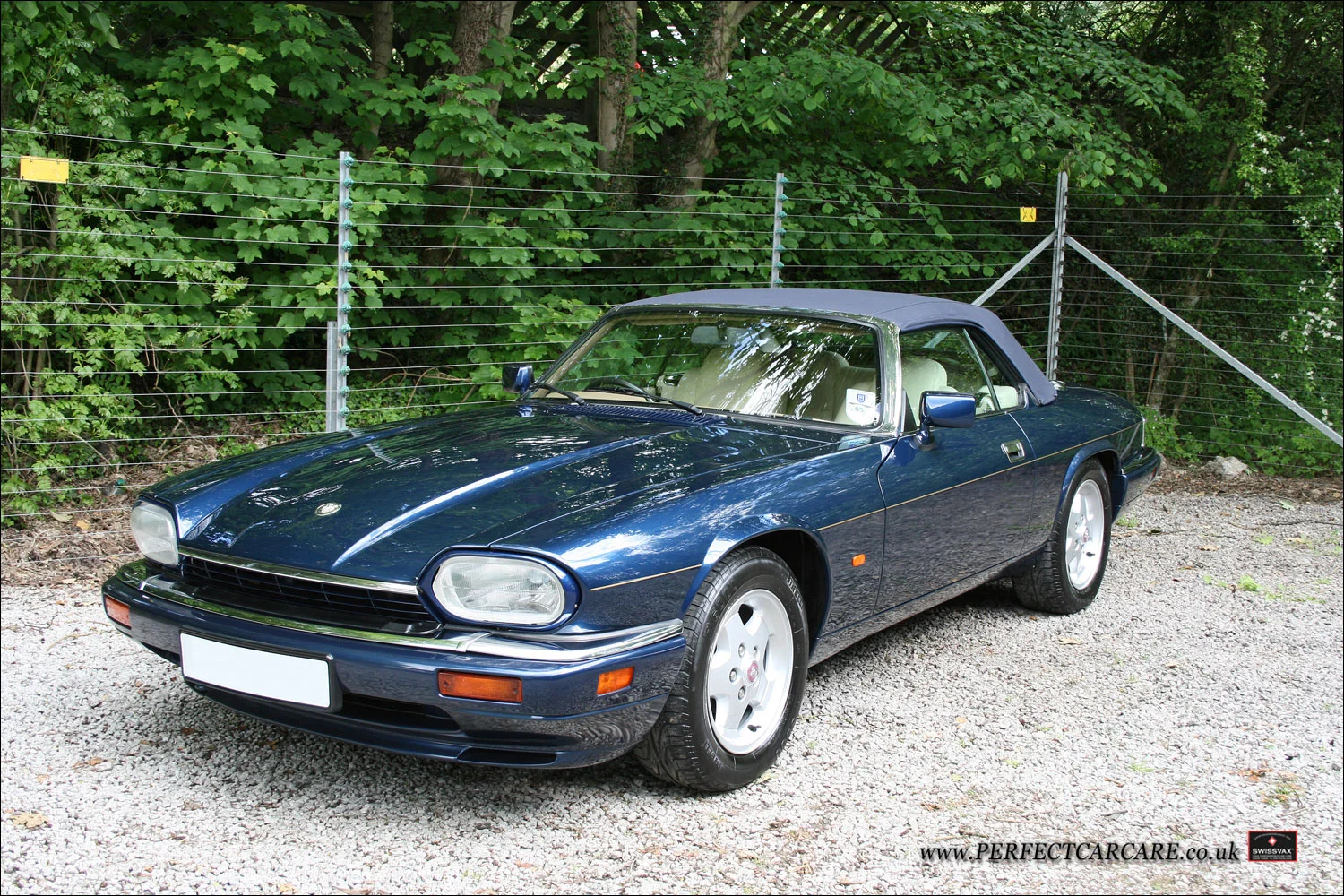 Jaguar XJS - Paintwork Correction Detail